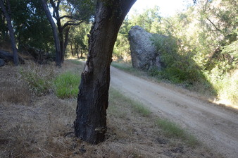 Enlarge photo 50