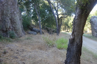 Enlarge photo 51