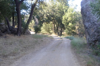 Enlarge photo 54