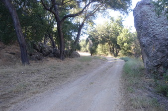 Enlarge photo 55