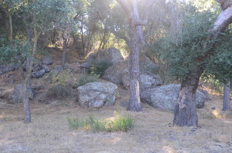 Enlarge photo 57