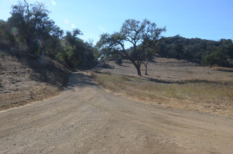 Enlarge photo 58