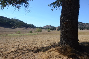 Enlarge photo 60