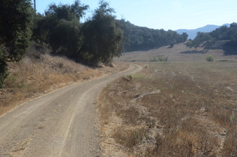 Enlarge photo 61