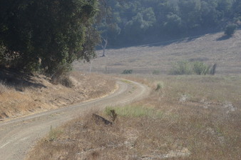 Enlarge photo 62
