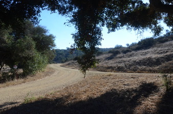 Enlarge photo 63