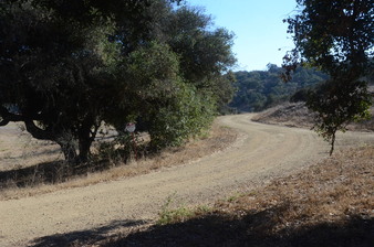Enlarge photo 64