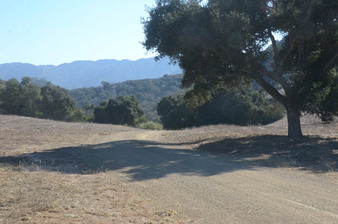 Enlarge photo 66