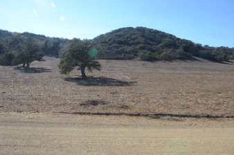 Enlarge photo 67