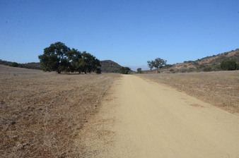 Enlarge photo 68