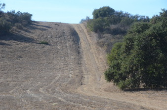 Enlarge photo 70