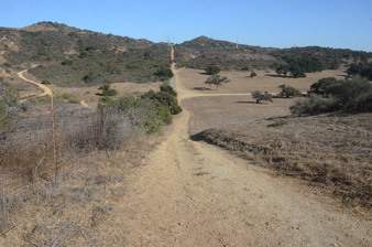 Enlarge photo 73