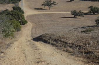 Enlarge photo 74
