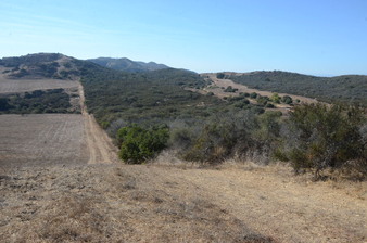 Enlarge photo 76