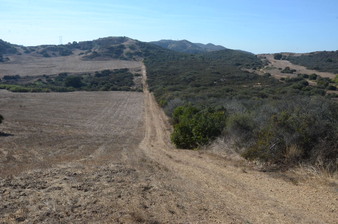 Enlarge photo 77