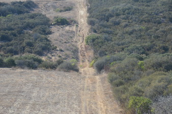 Enlarge photo 79