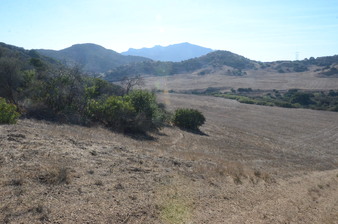 Enlarge photo 81
