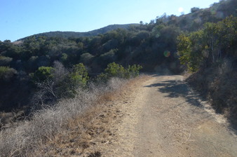 Enlarge photo 83