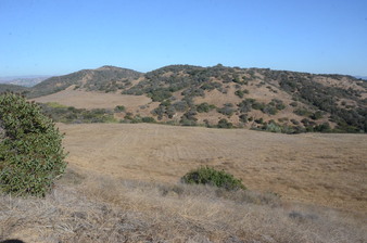 Enlarge photo 84