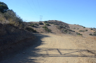Enlarge photo 85