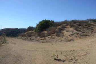Enlarge photo 87