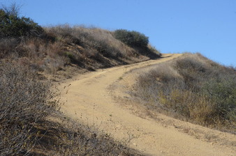 Enlarge photo 91