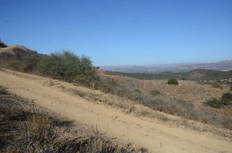 Enlarge photo 92