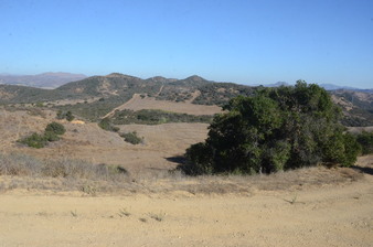 Enlarge photo 93