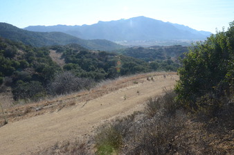 Enlarge photo 94