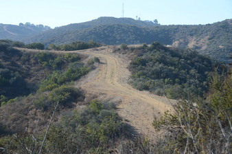Enlarge photo 96