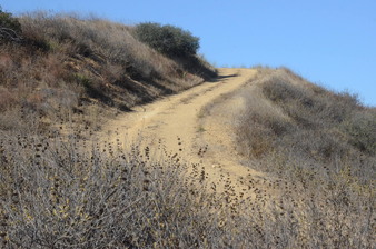 Enlarge photo 97