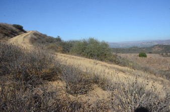Enlarge photo 98