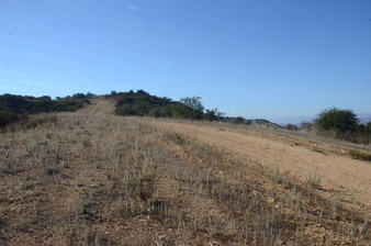 Enlarge photo 102
