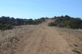 Enlarge photo 105