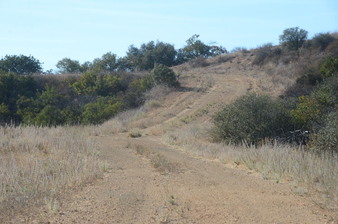 Enlarge photo 106