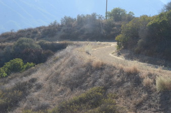 Enlarge photo 110