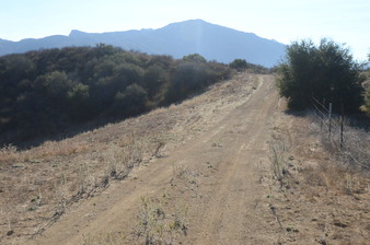 Enlarge photo 112