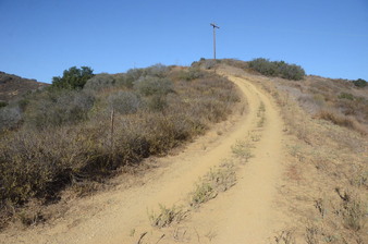 Enlarge photo 113