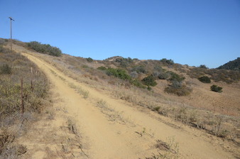 Enlarge photo 114