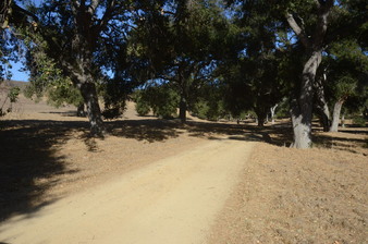 Enlarge photo 116
