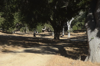 Enlarge photo 117