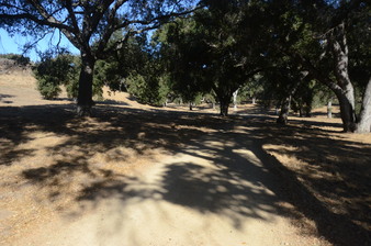 Enlarge photo 118