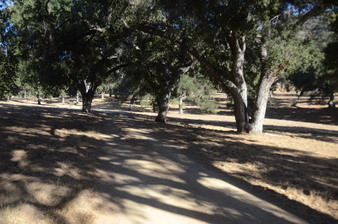 Enlarge photo 119