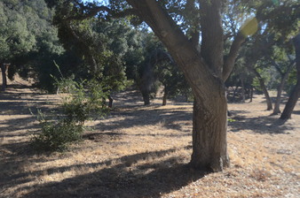 Enlarge photo 120