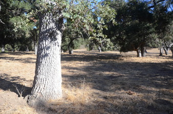Enlarge photo 124