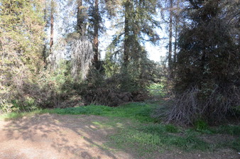 Enlarge photo 3