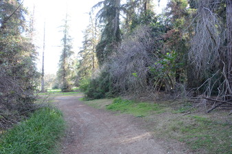 Enlarge photo 5