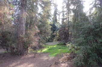 Enlarge photo 15