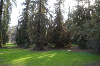 Enlarge photo 17