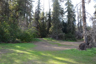 Enlarge photo 23